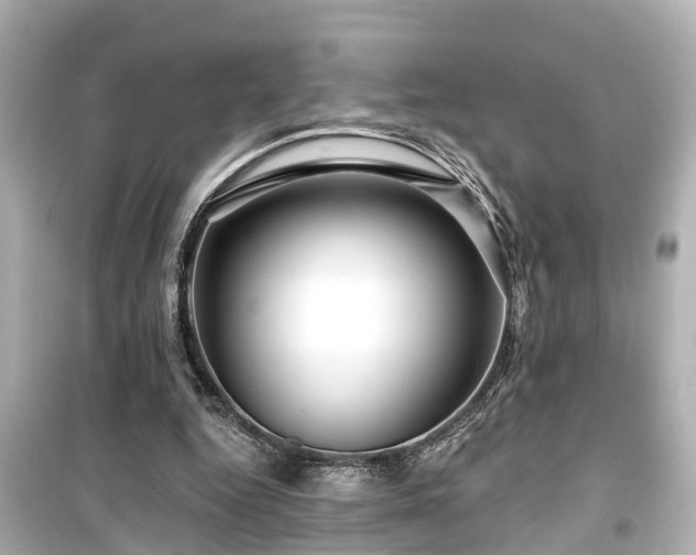 X0000099500344200805221405