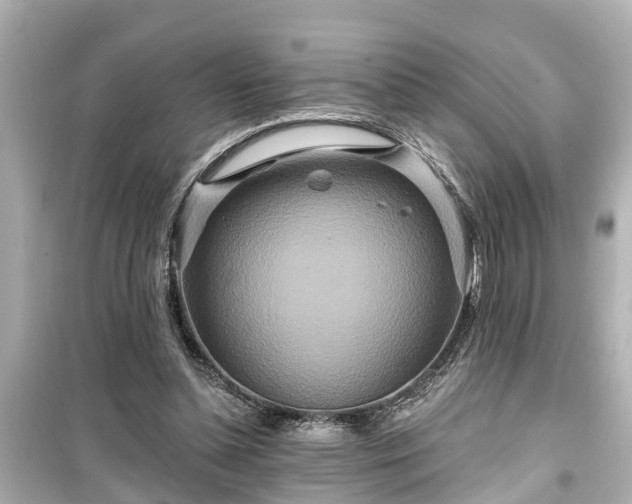 X0000099500348200805221405