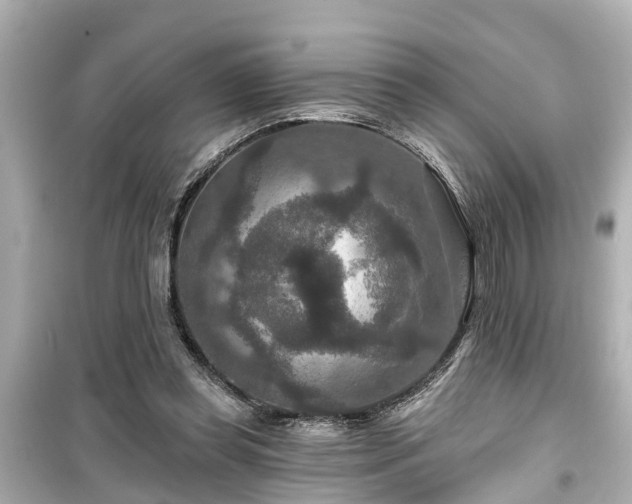X0000099500349200805221405