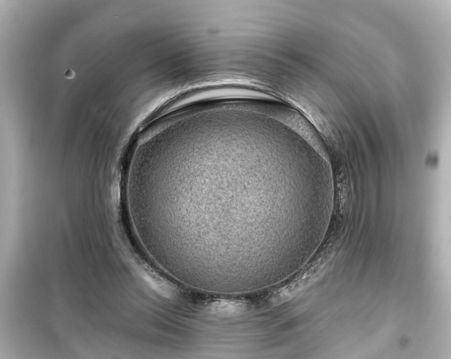 X0000099500350200805221405