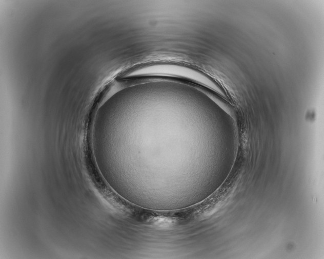 X0000099500352200805221405