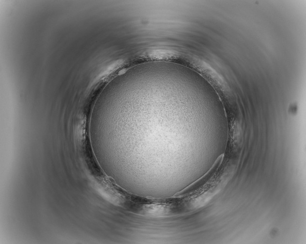 X0000099500356200805221405