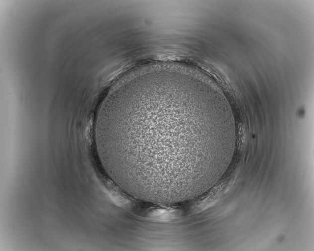X0000099500364200805221405