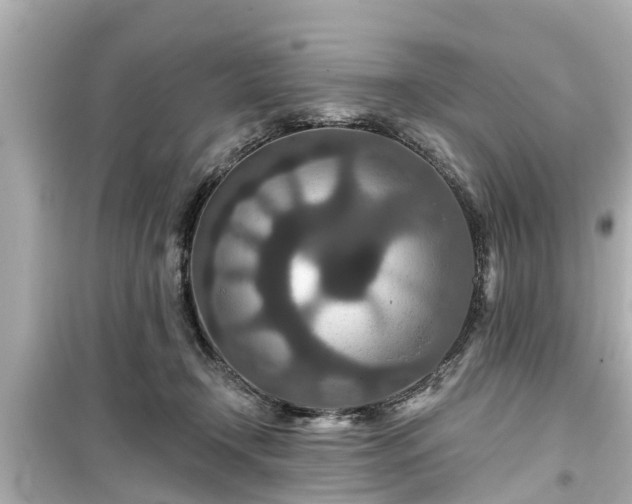 X0000099500366200805221405