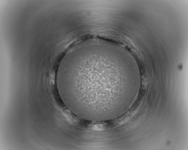X0000099500368200805221406