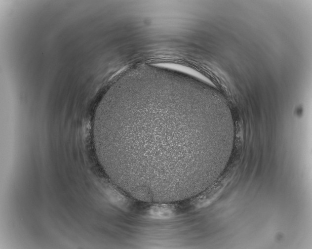 X0000099500369200805221406