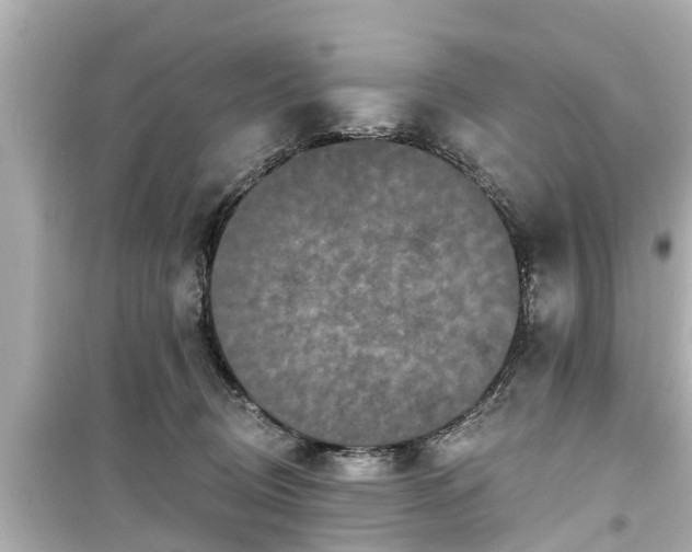 X0000099500370200805221406
