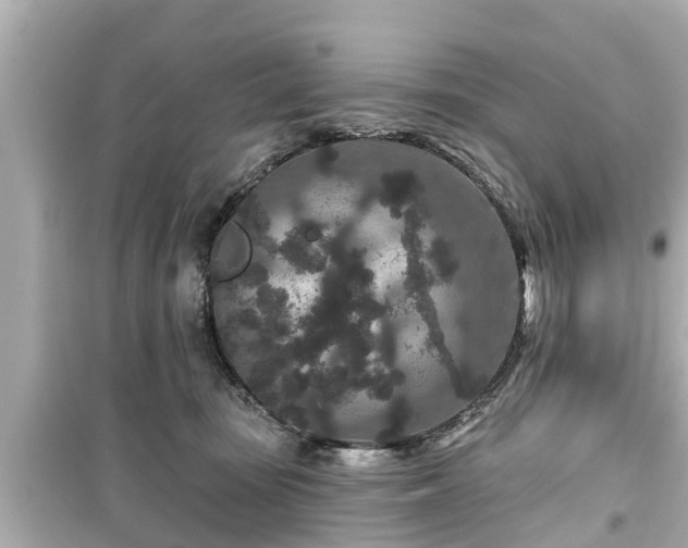X0000099500371200805221406