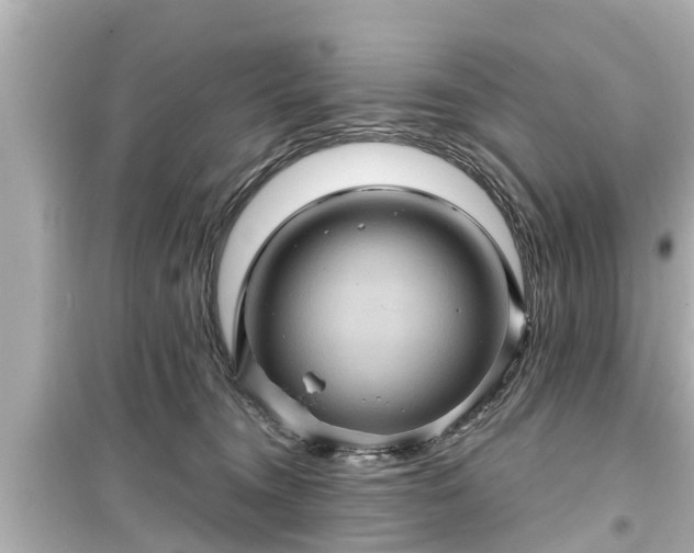 X0000099500372200805221406