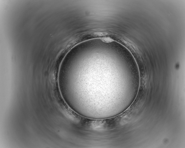X0000099500373200805221406