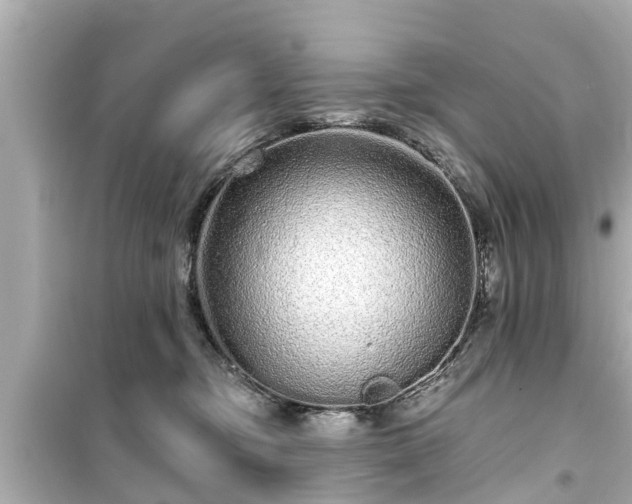 X0000099500374200805221406