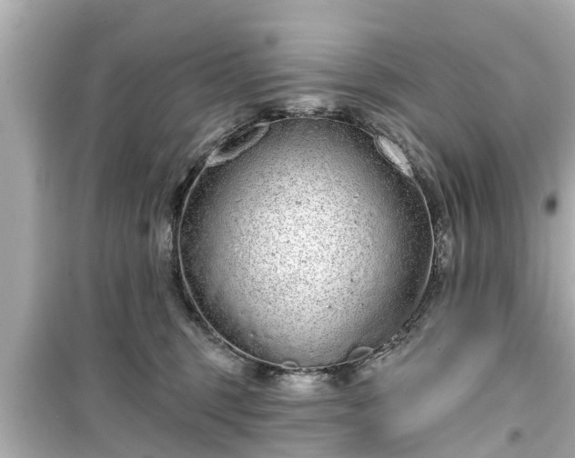 X0000099500375200805221406