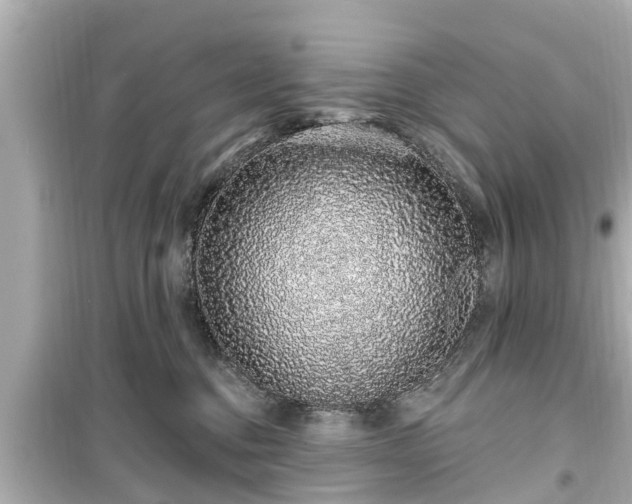 X0000099500376200805221406
