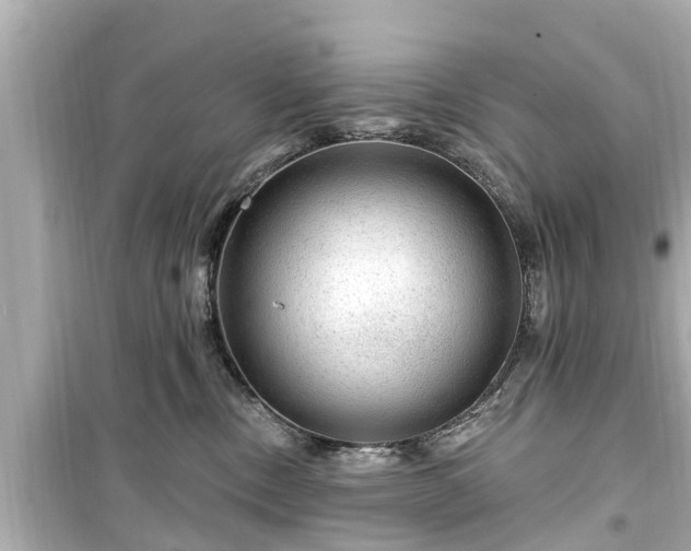 X0000099500378200805221406