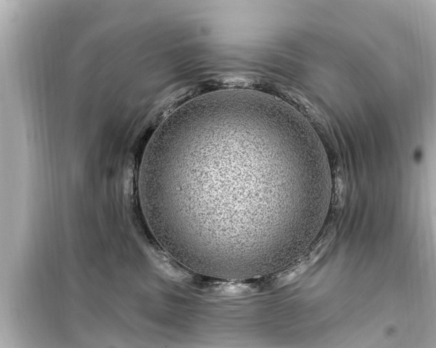 X0000099500379200805221406