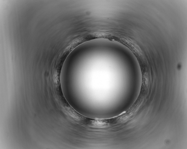 X0000099500380200805221406