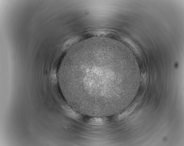 X0000099500381200805221406