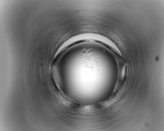 X0000099500382200805221406