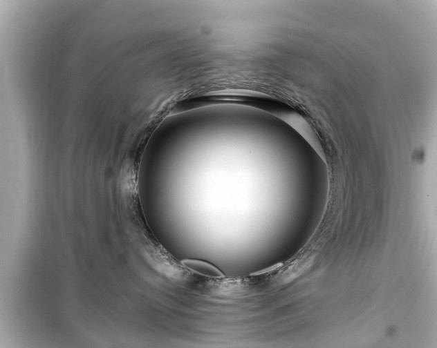 X0000099500384200805221406