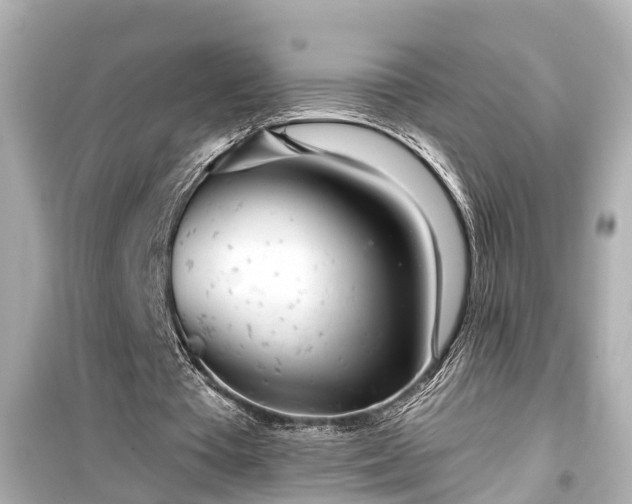 X0000099500385200805221405