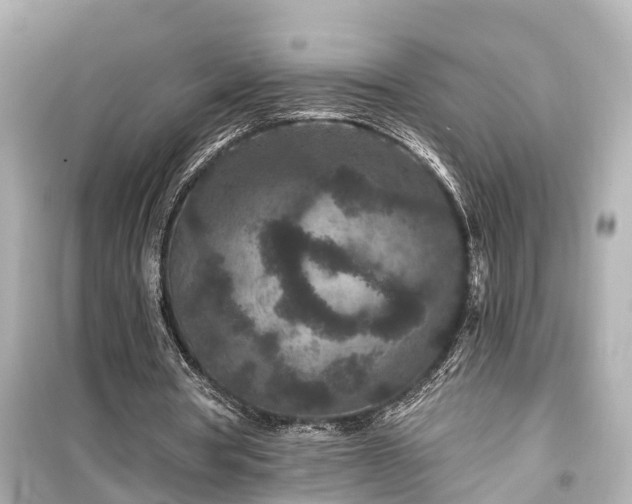 X0000099500386200805221405