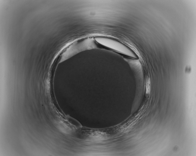 X0000099500387200805221405