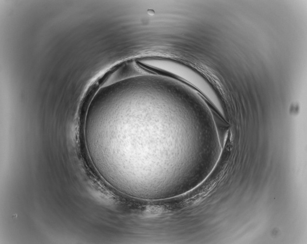 X0000099500388200805221405