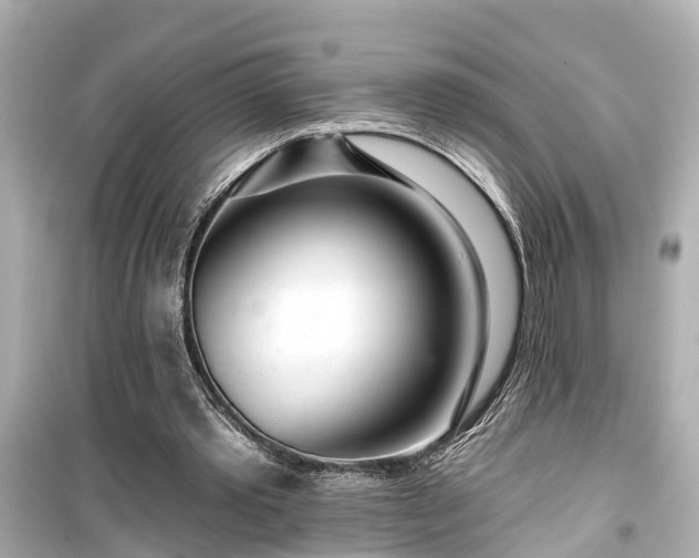 X0000099500389200805221405
