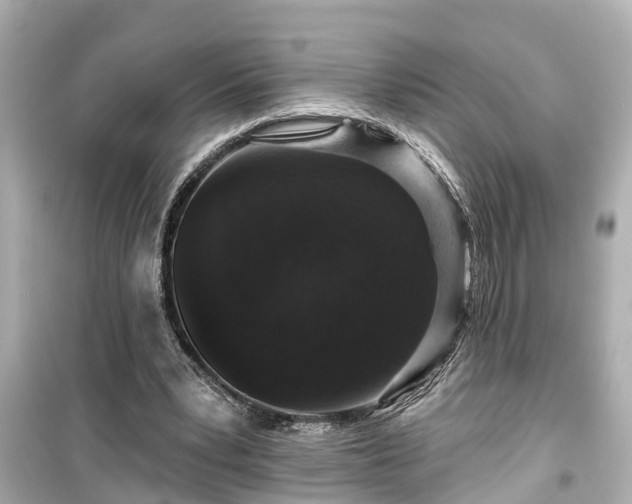 X0000099500391200805221405
