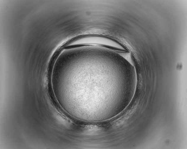 X0000099500392200805221405