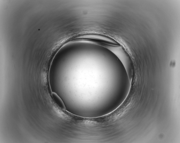 X0000099500393200805221405