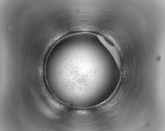 X0000099500394200805221405