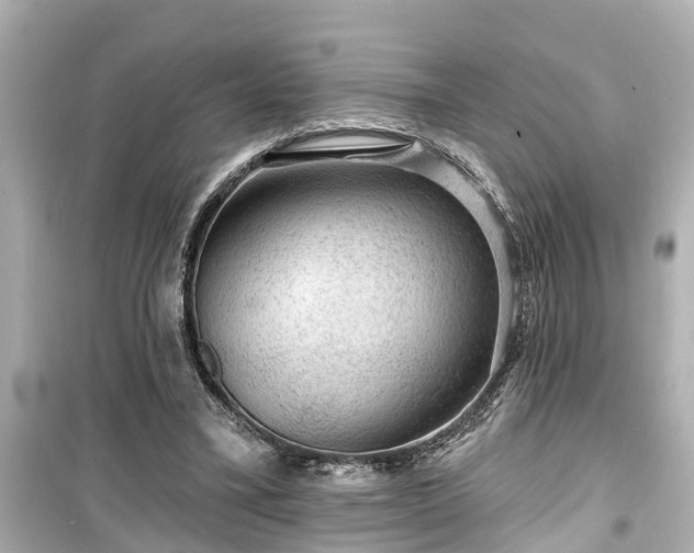 X0000099500395200805221405