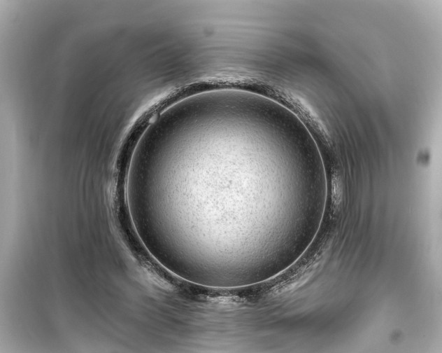 X0000099500396200805221405
