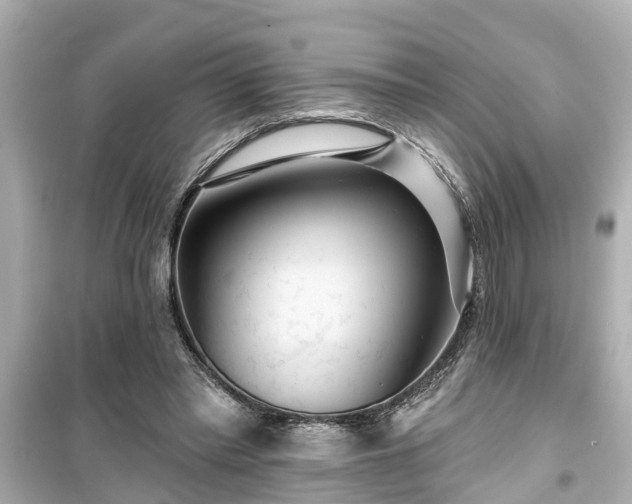 X0000099500397200805221405