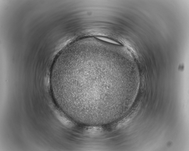 X0000099500398200805221405