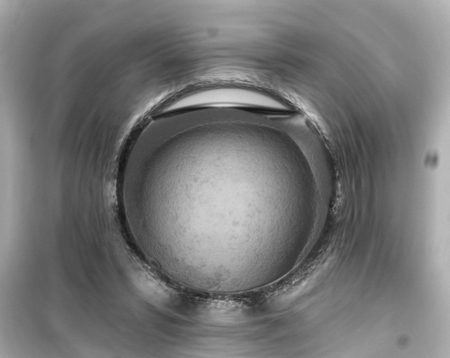 X0000099500399200805221405