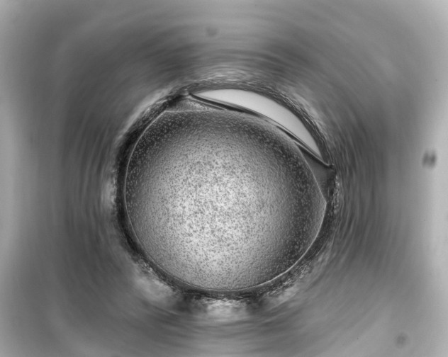X0000099500400200805221405