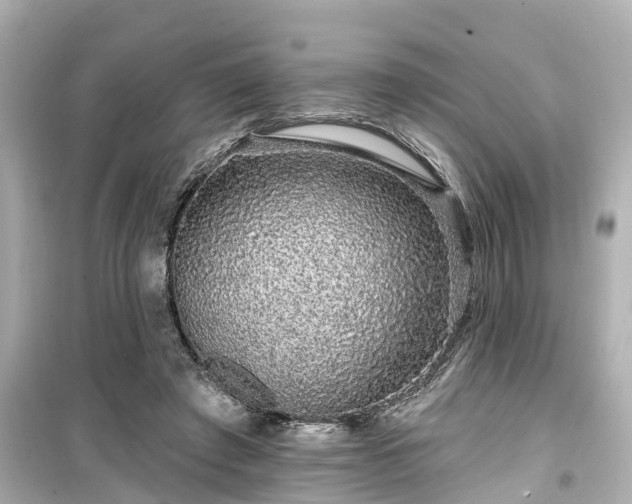 X0000099500401200805221405