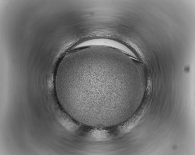 X0000099500403200805221405