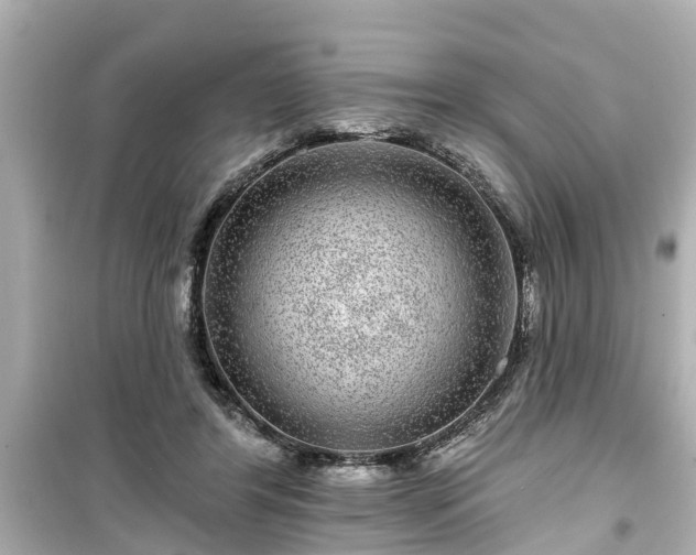 X0000099500404200805221405