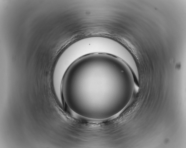 X0000099500405200805221405