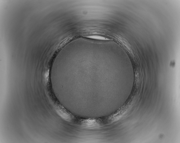X0000099500406200805221405
