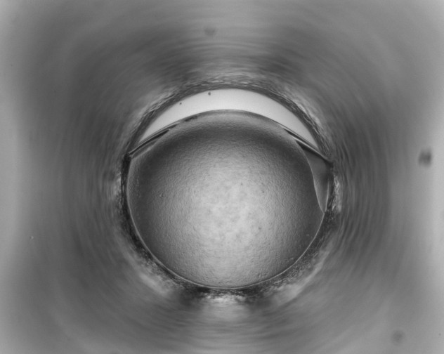 X0000099500407200805221405