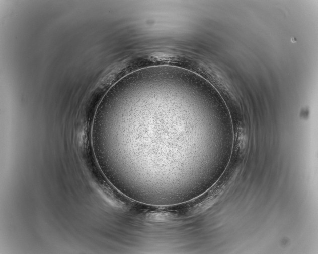 X0000099500408200805221405
