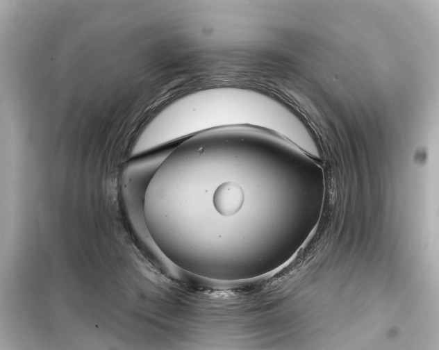 X0000099500409200805221405