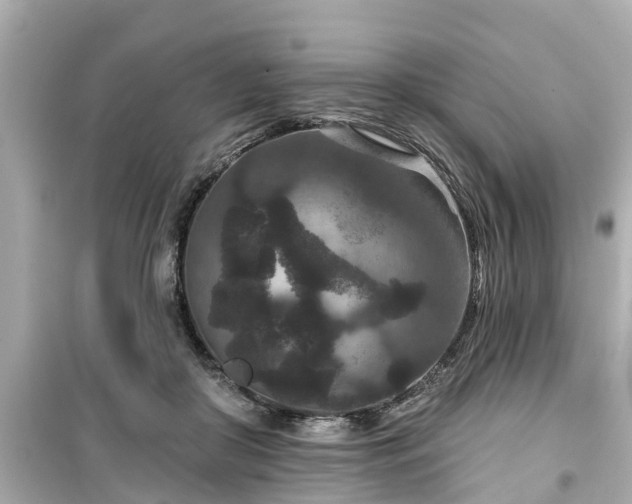 X0000099500410200805221405