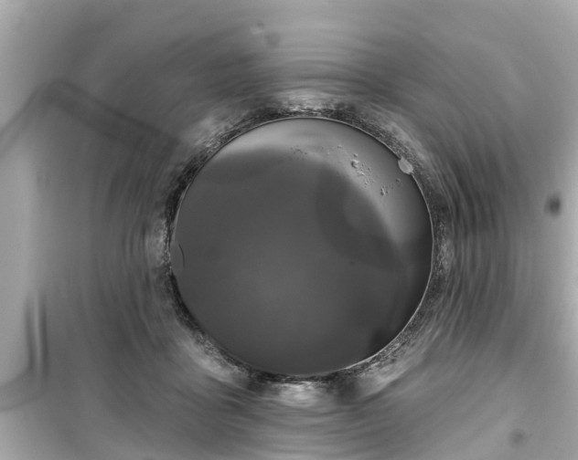 X0000099500411200805221405