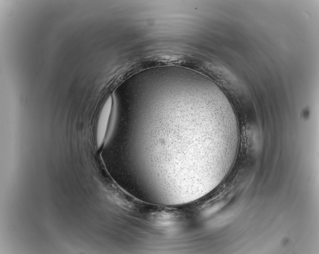 X0000099500412200805221405