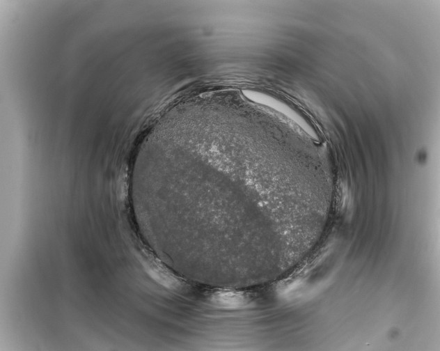X0000099500413200805221405